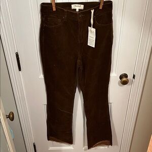 Charlie B Dark Brown Corduroy Pant